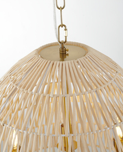 MIA19C20BR (15).jpg